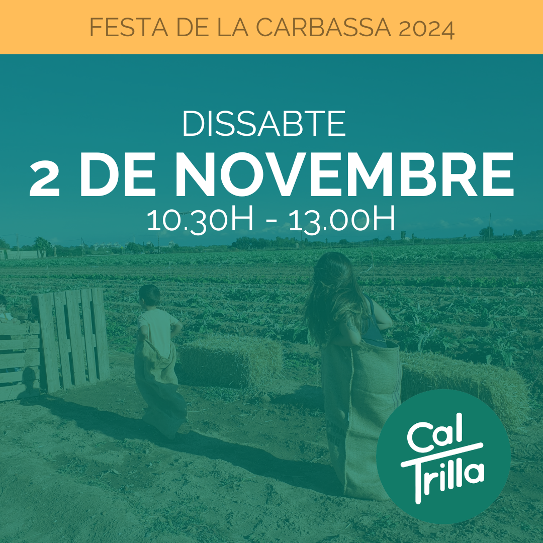 02 / 11 / 2024 Entrada Festa Carbassa 10:30h-13:00h