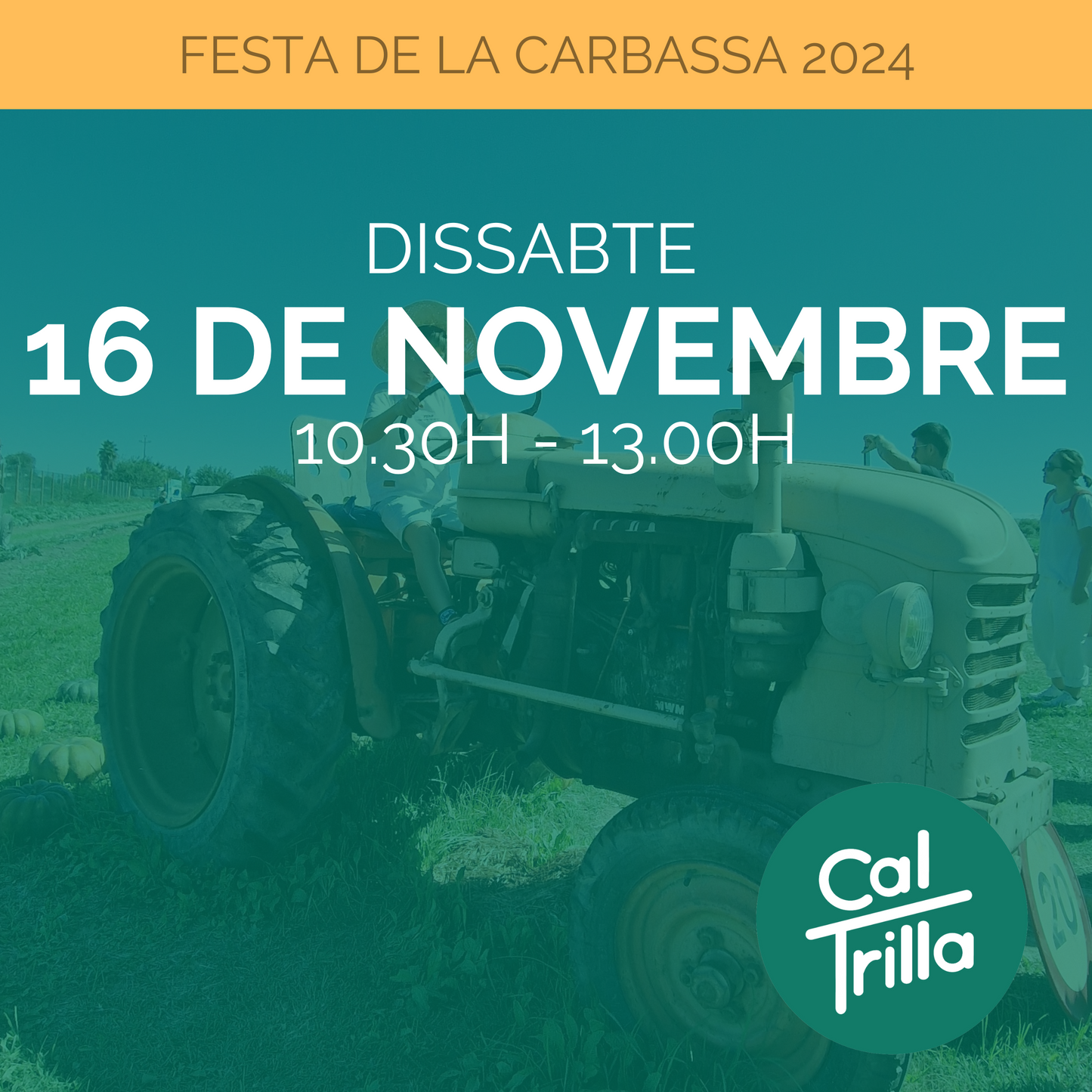 16 / 11 / 2024 Entrada Festa Carbassa 10:30h-13:00h